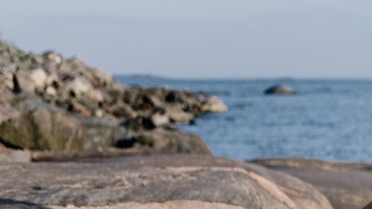 携带宠物搭乘芬兰航空航班 芬兰航空公司 携带宠物搭乘芬兰航空航班 芬兰航空公司