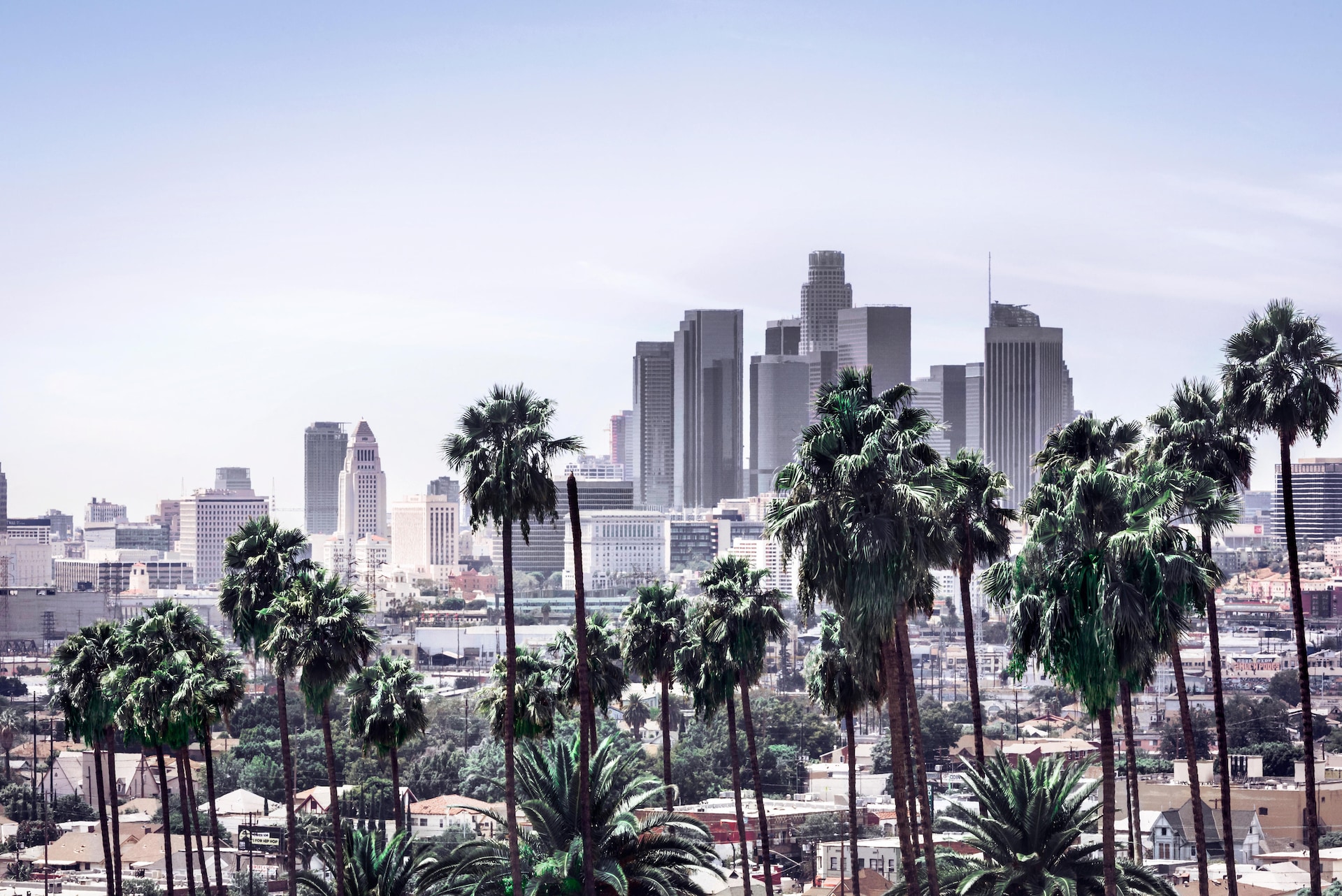 Formindske Airfield Fortolke Explore Los Angeles like a local: Top 10 tips by an LA resident | Finnair  United States