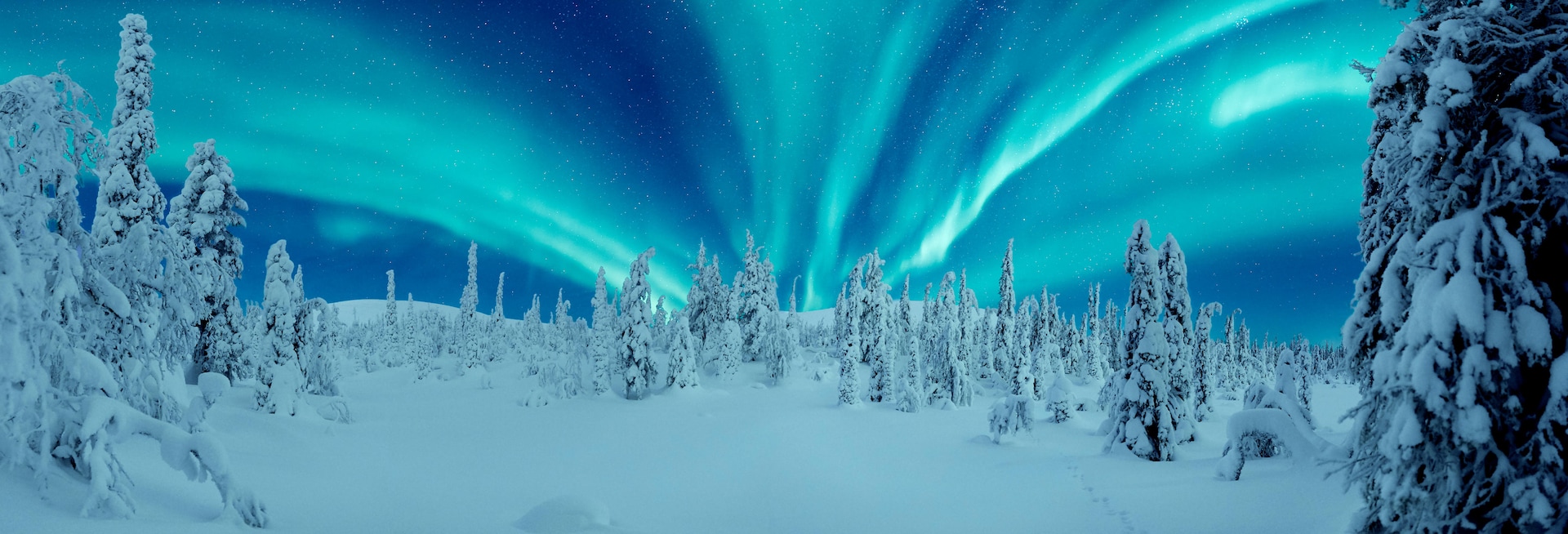 amplitude synet Kan ignoreres Plan your trip to see the Northern Lights at their isolated best | Finnair  United States