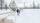 Finnair Lapland Dog Sled Ride