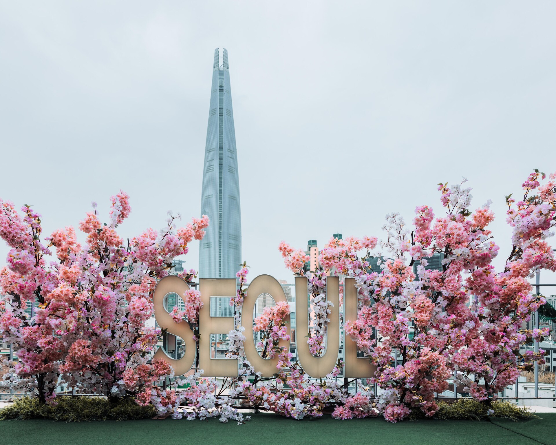 Explore This Secret, Uber-Instagrammable Garden Pop-Up In DC From