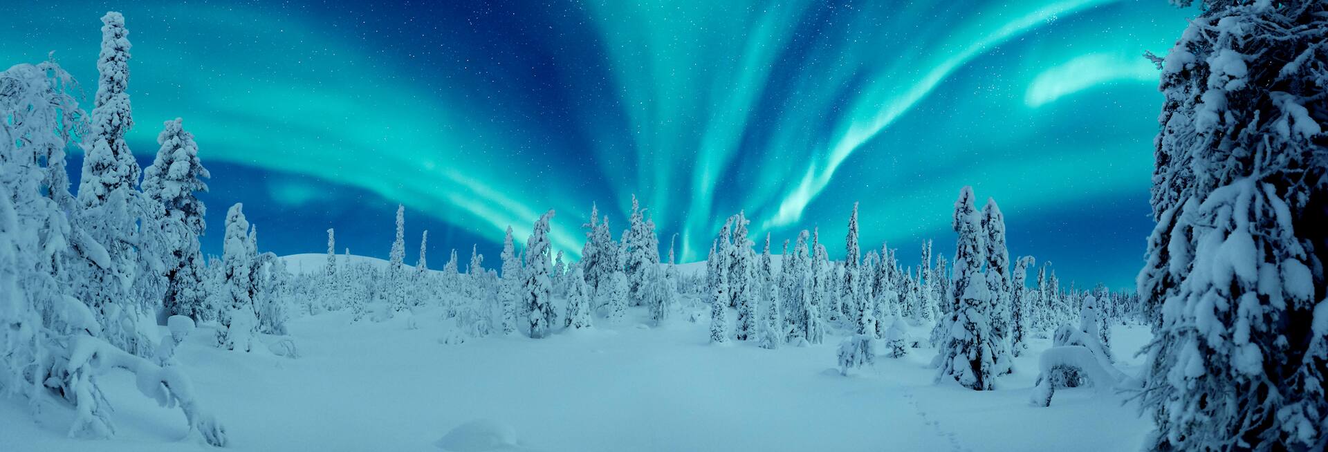 Ten questions about the northern lights | Finnair United States