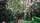 Finnair_Helsinki_Rhodopark_2579405931