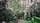 Finnair_Helsinki_Rhodopark_2579405931