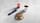 Pre order_2025_Nordic combo