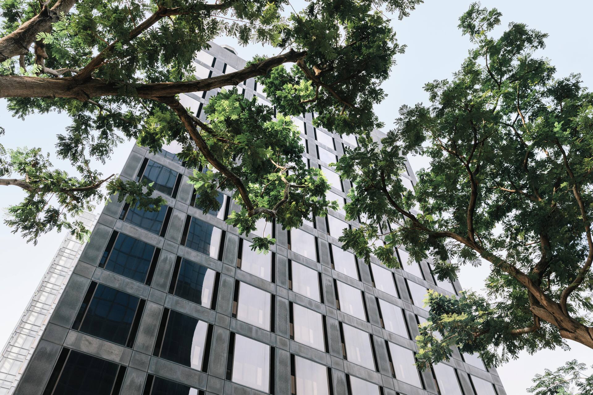 Flights to Johannesburg Finnair United States