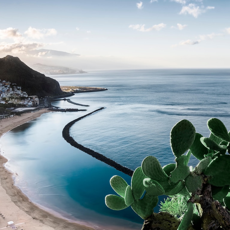 Expansión Berenjena revisión Vuelos a Tenerife | Finnair España