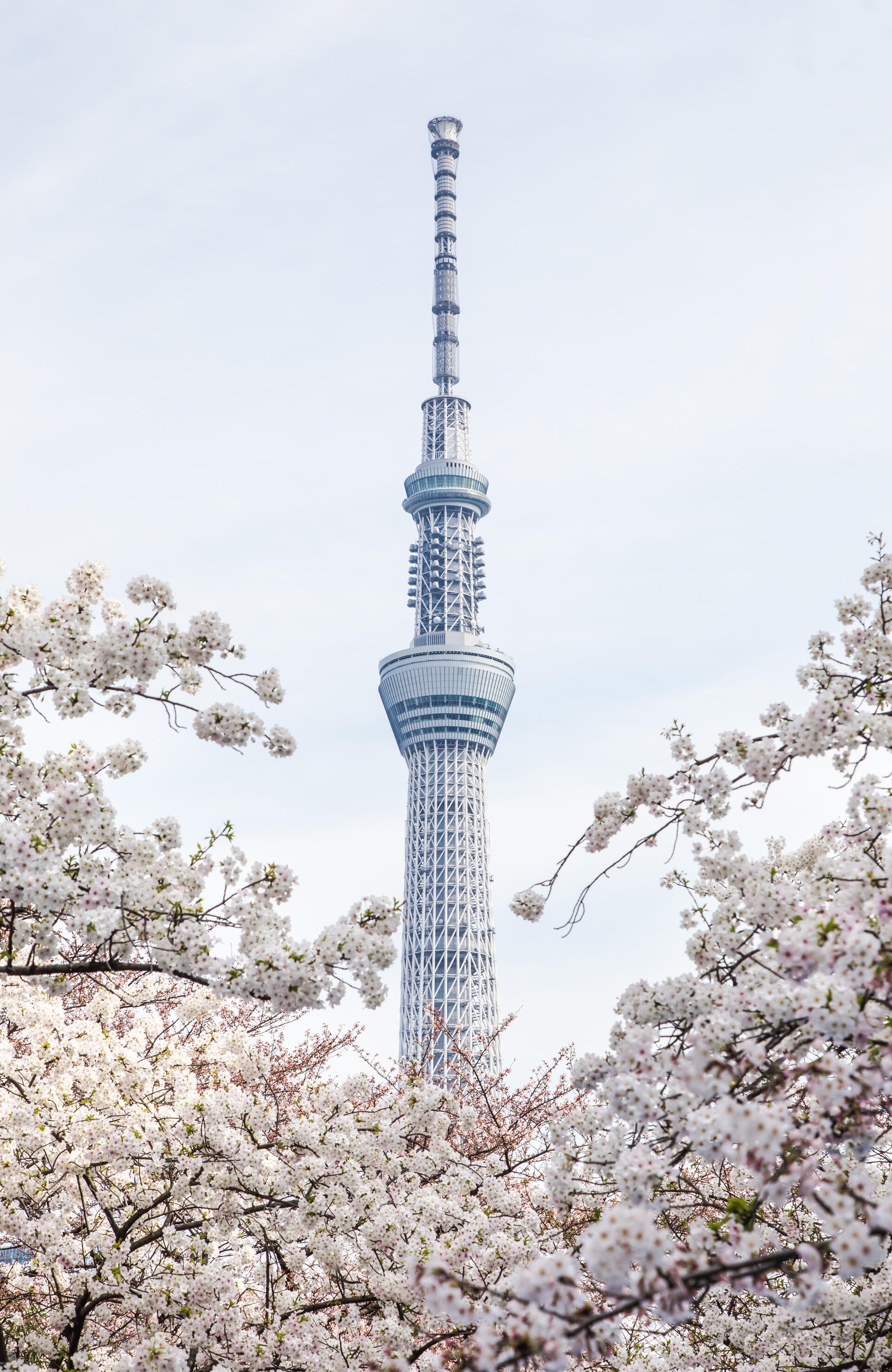 Réservez votre billet d'avion pour le Japon | Finnair France